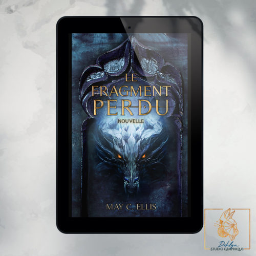 Le fragment perdu